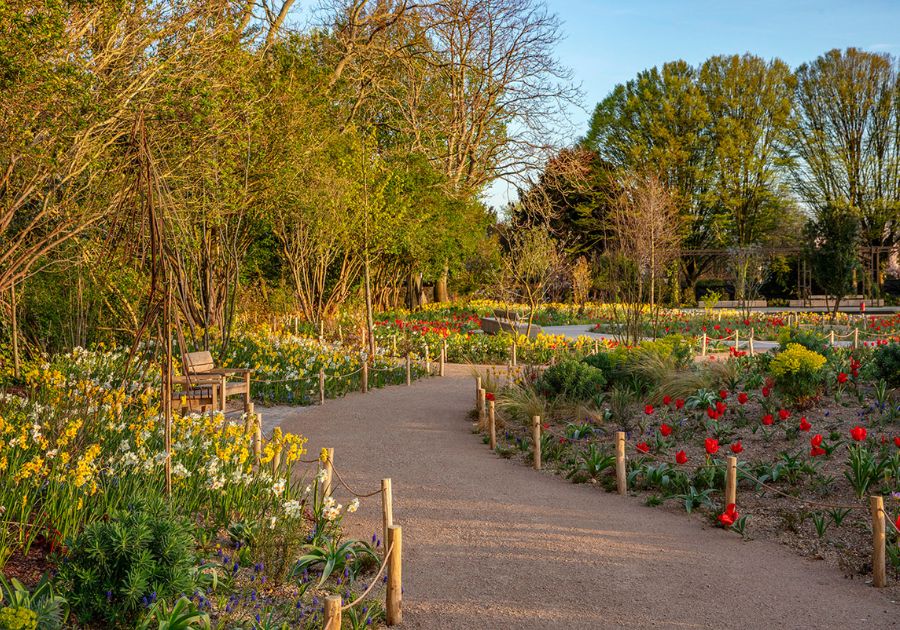 Grădina Queen Elizabeth II Garden din Regent’s Park, Londra, amenajată pentru biodiversitate urbană