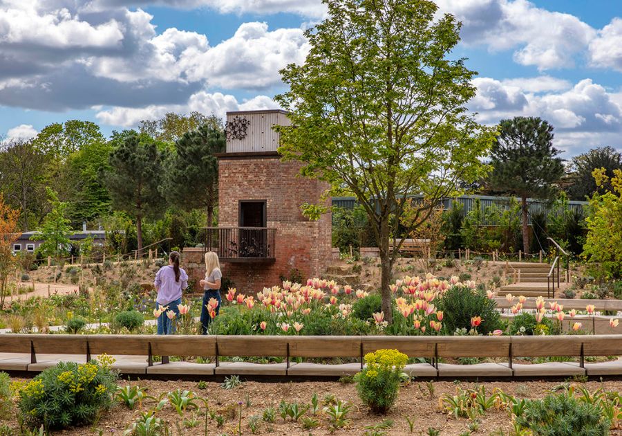 Grădina Queen Elizabeth II Garden din Regent’s Park, Londra, amenajată pentru biodiversitate urbană