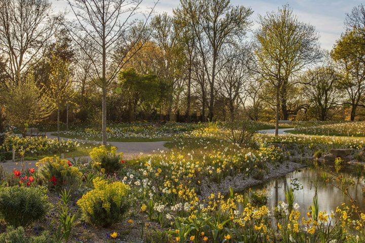 Grădina Queen Elizabeth II Garden din Regent’s Park, Londra, amenajată pentru biodiversitate urbană