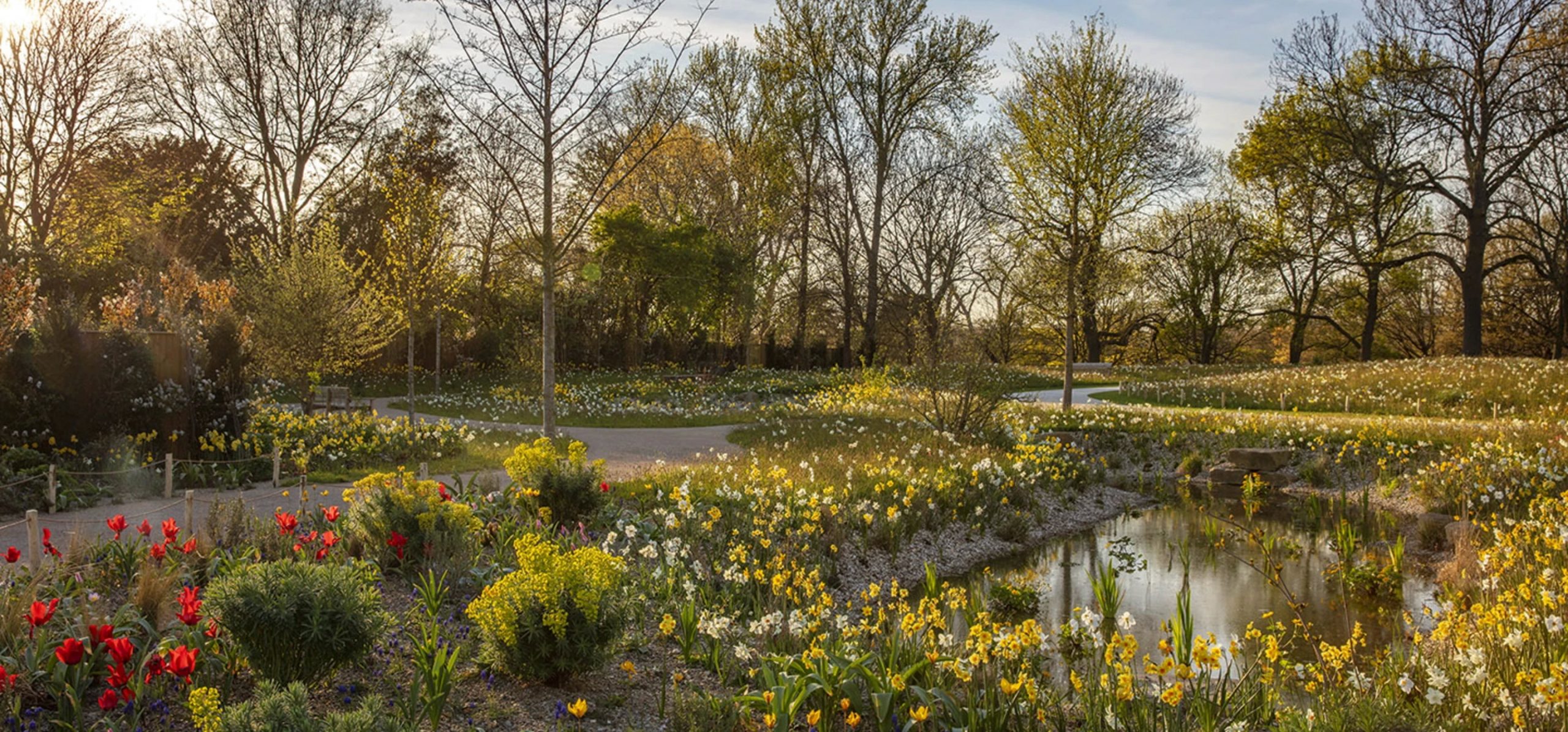 Grădina Queen Elizabeth II Garden din Regent’s Park, Londra, amenajată pentru biodiversitate urbană